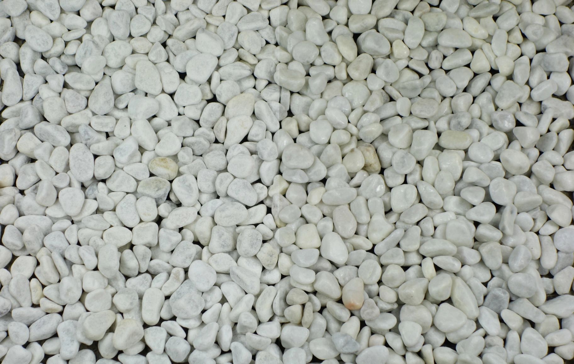 Carrara