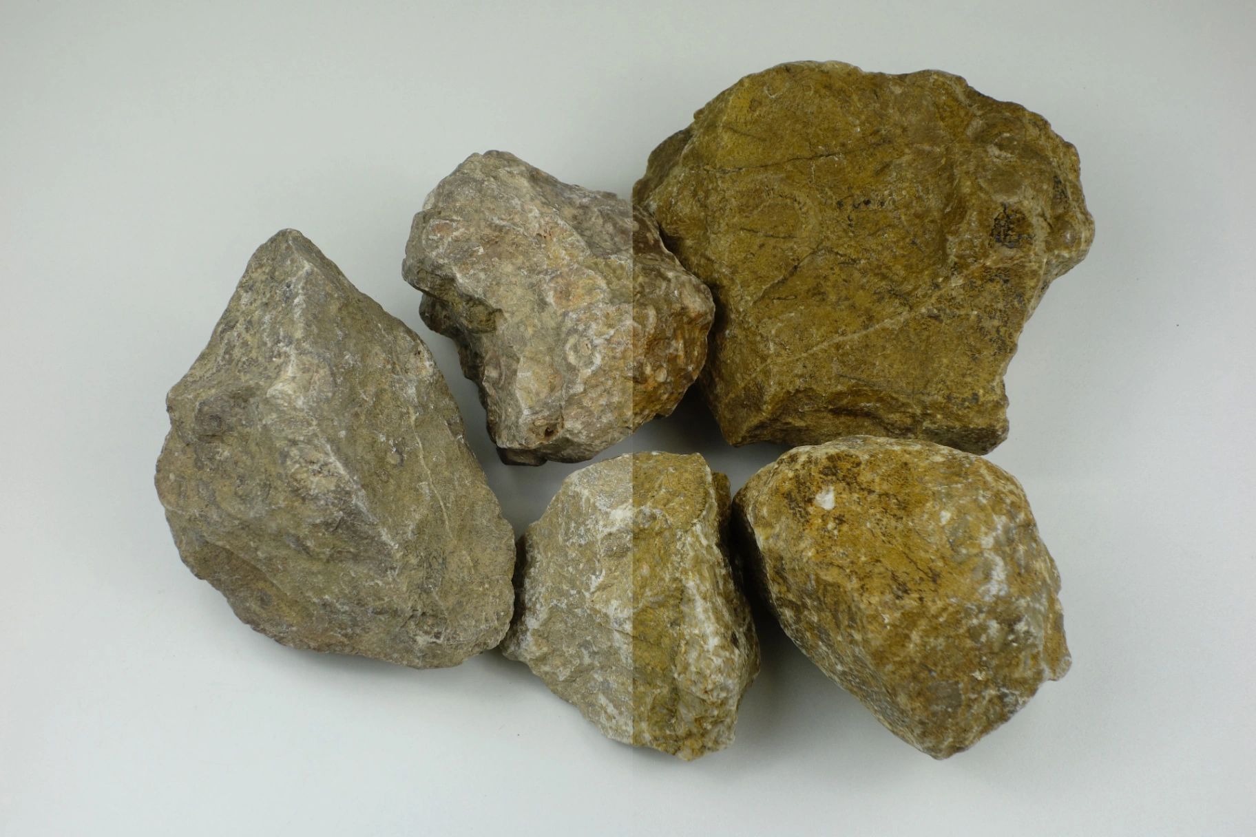 Muschelkalk