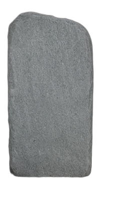 004AN+001GT-3006239