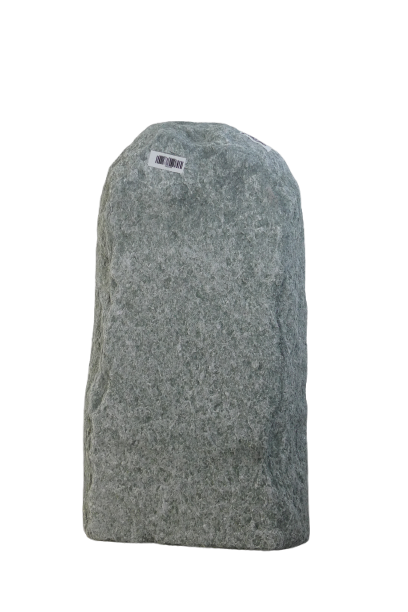 003AN001GT-3005209