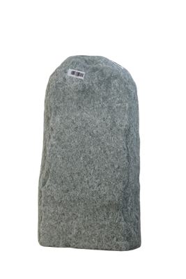 003AN001GT-3005209