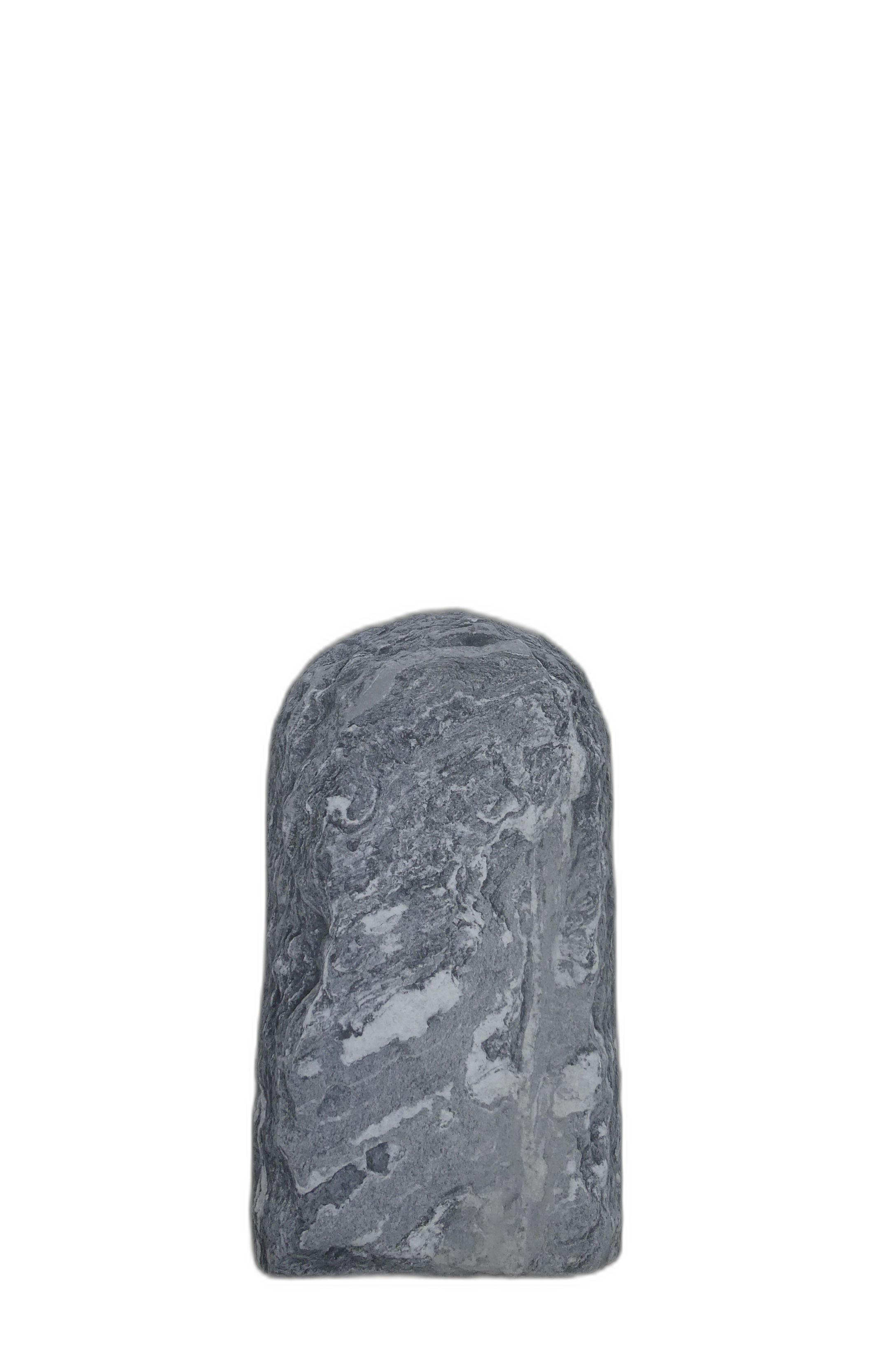 003AG001GT-3006038
