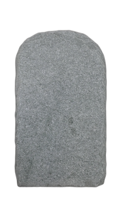 004AN001GT-3005669