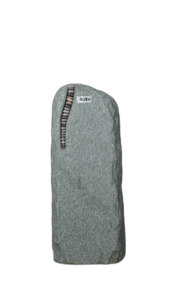 004AN321GT-3005308
