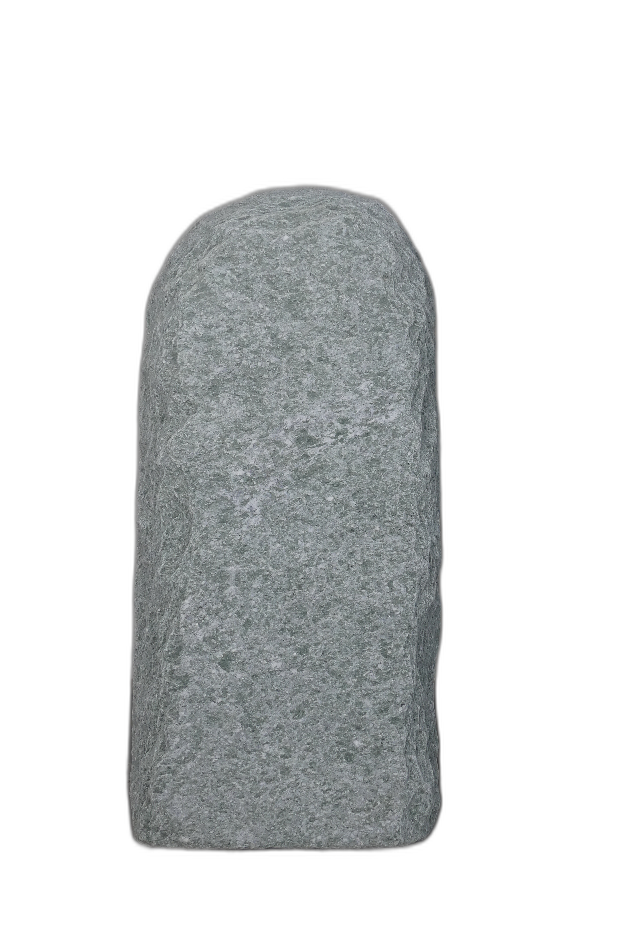 003AN001GT-3005478