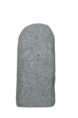 003AN001GT-3005478