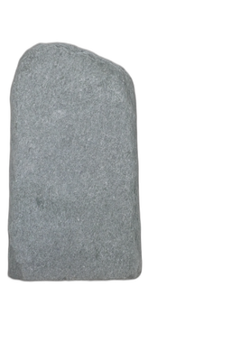 004AN001GT-3005850