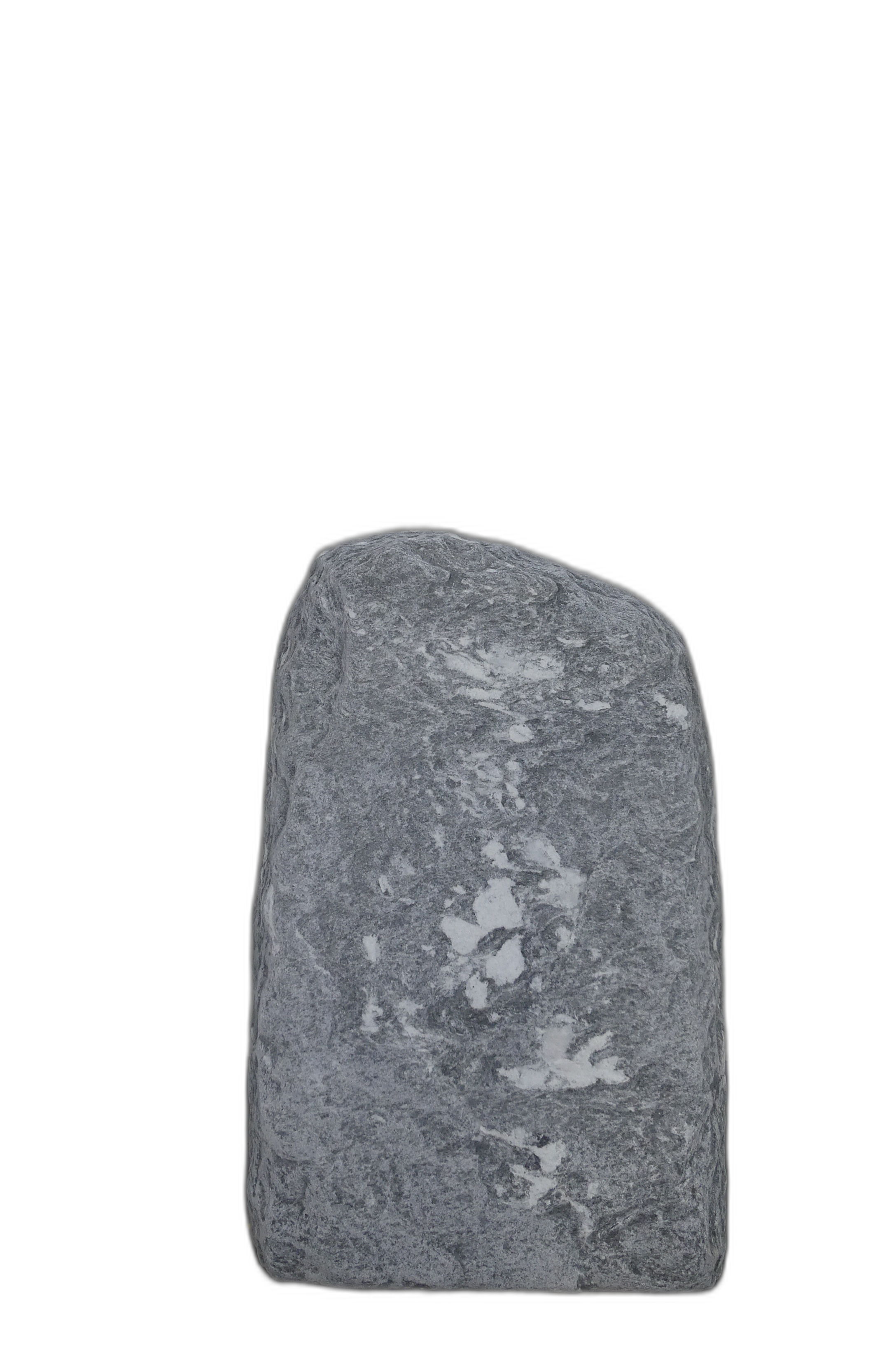 004AG001GT-3006017