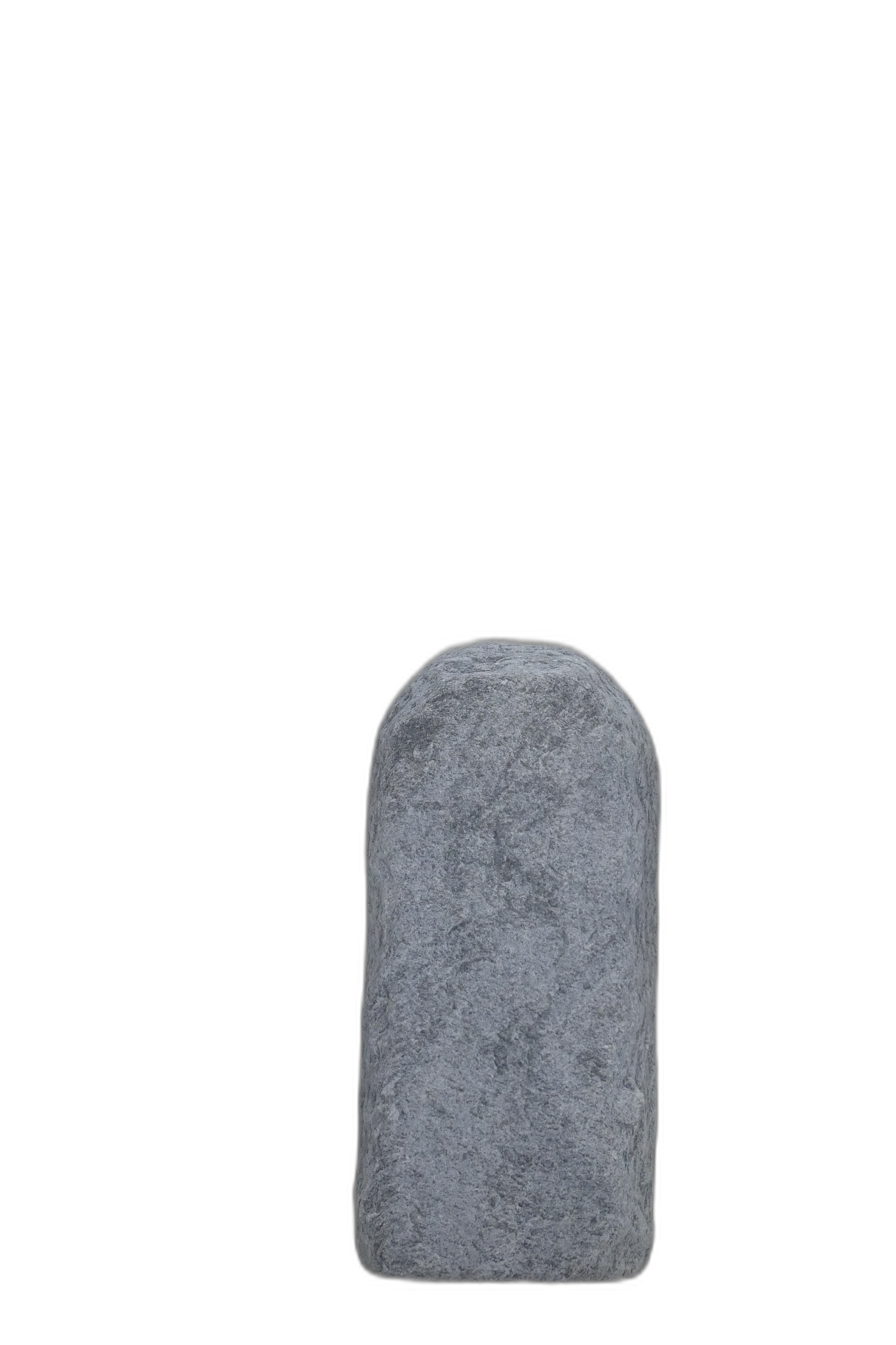 003AG001GT-3006019
