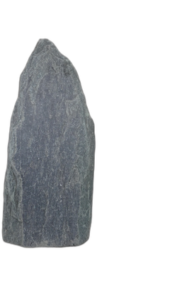 004SE++001GT-3005839