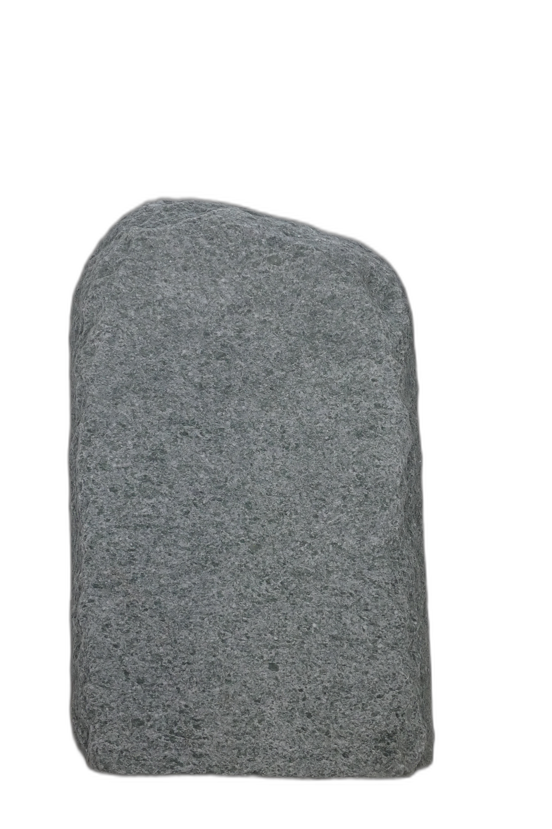 004AN001GT-3006149