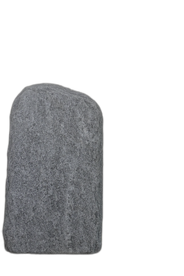 003MG001GT-3005908