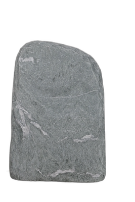 004AN001GT-3005733