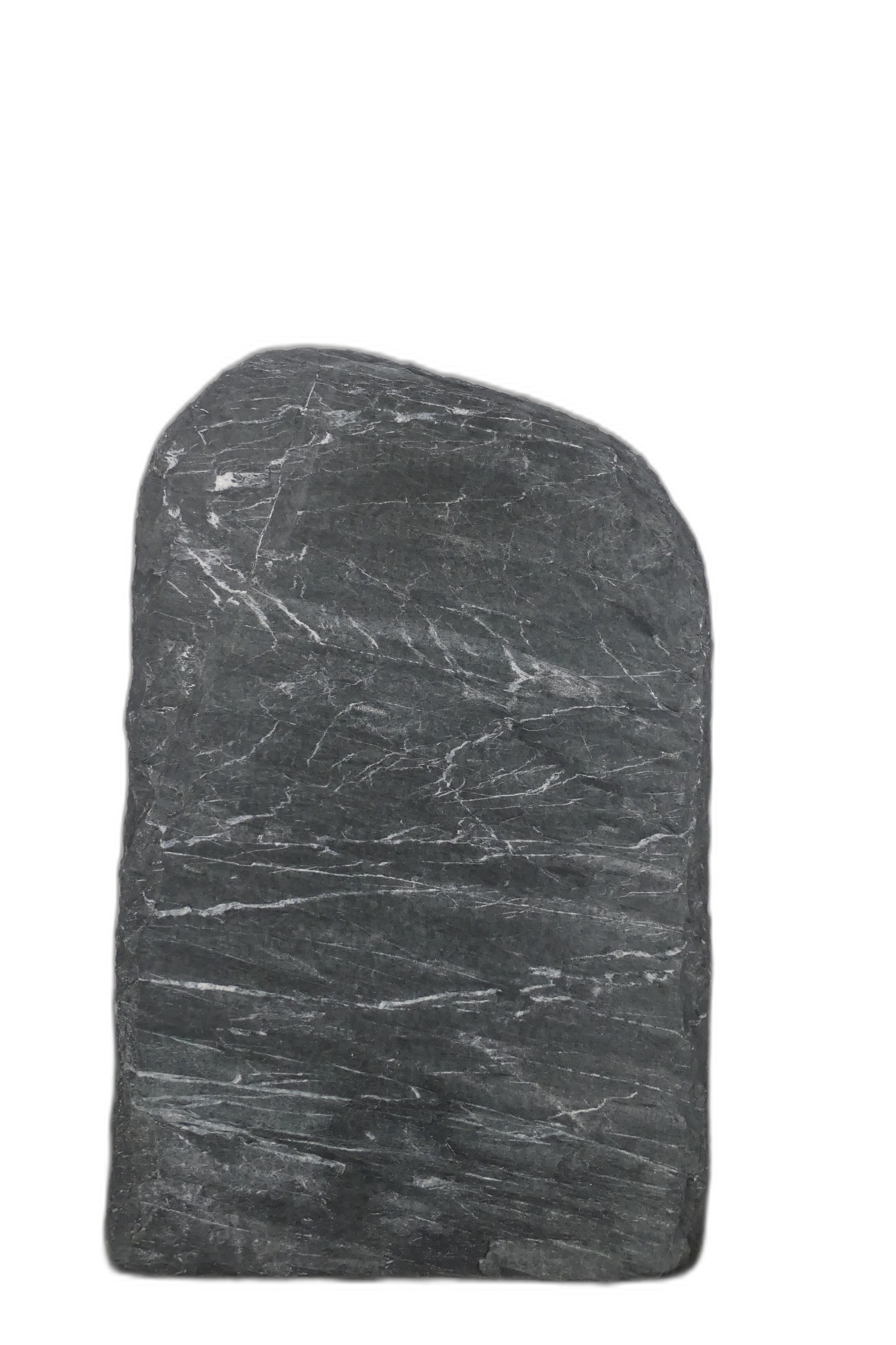 004DG001SR-3006286