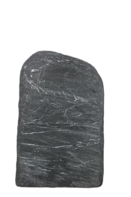 004DG001SR-3006286