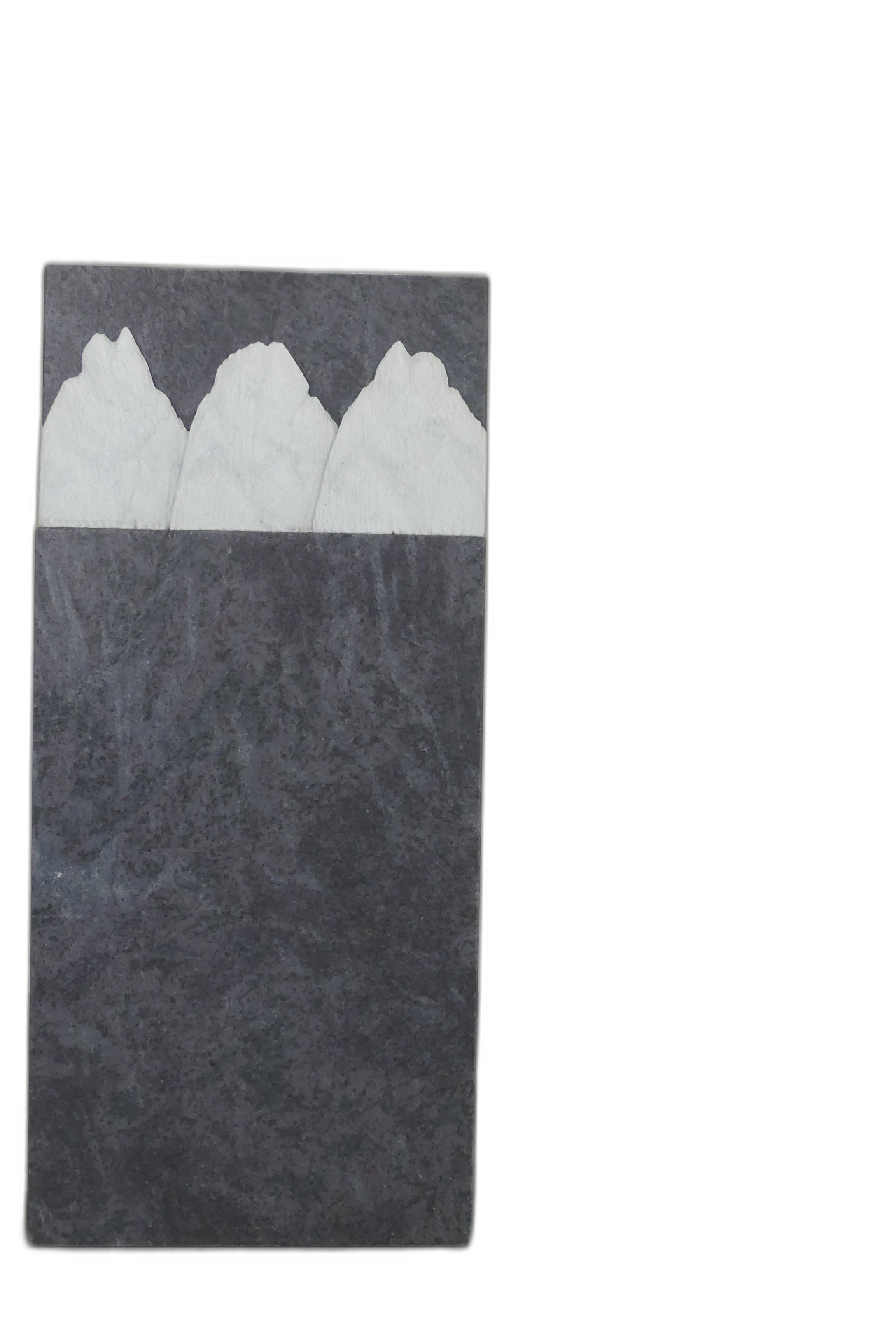 006OR389ST-3005911