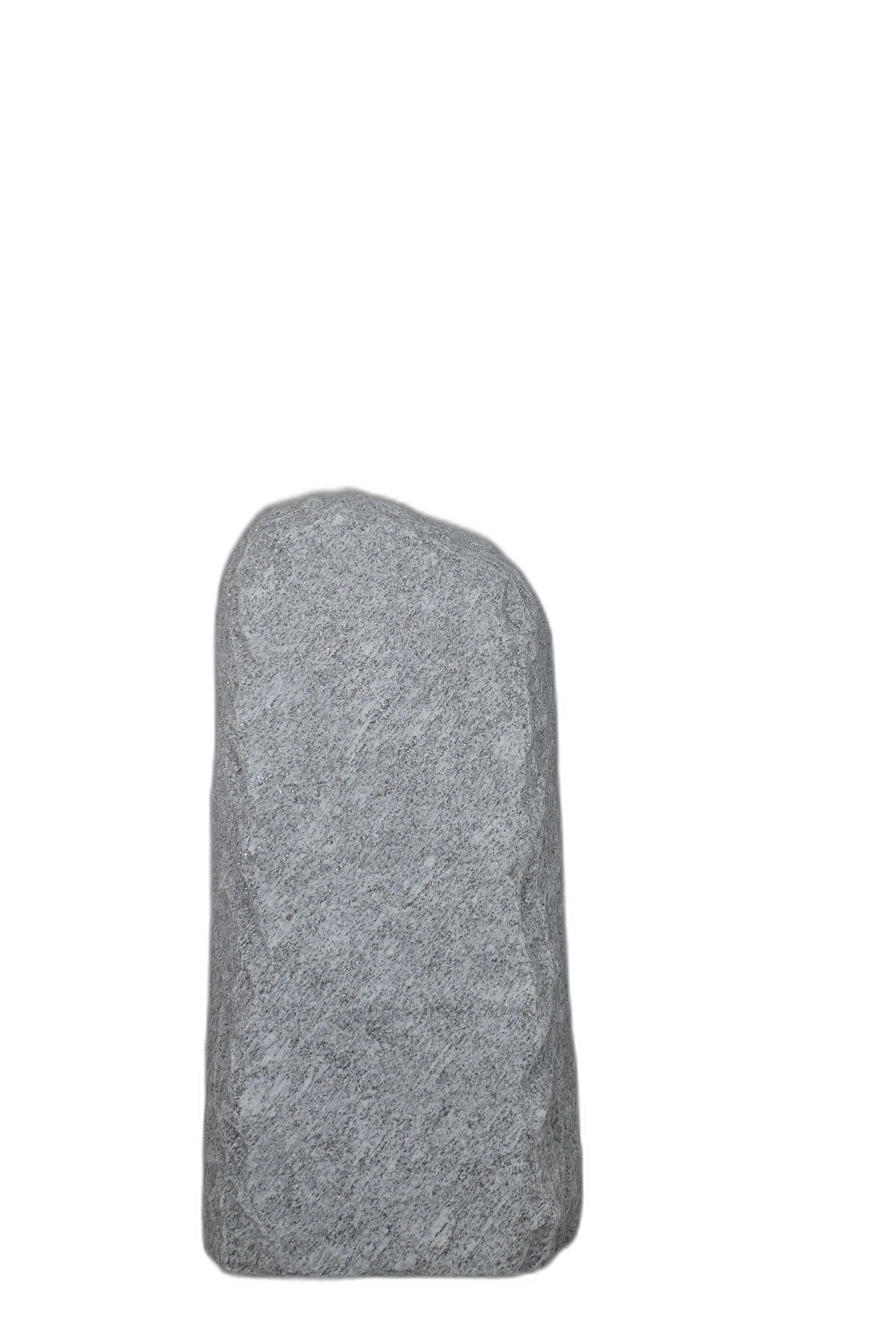 004BIA001GT-3005531
