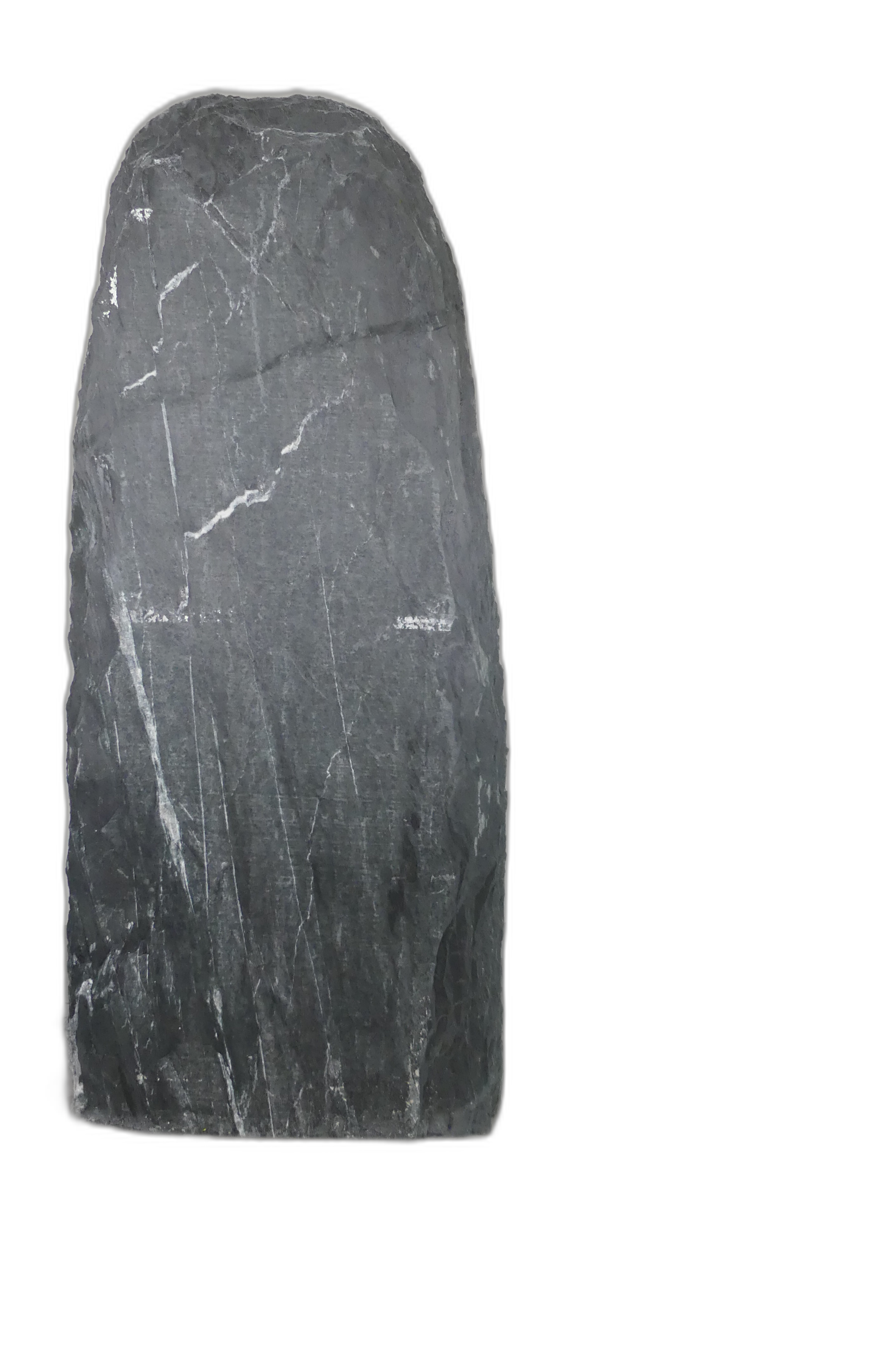 004DG001SR-3005910