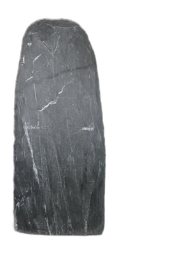 004DG001SR-3005910