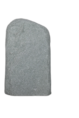 004AN001GT-3005590