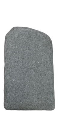 004AN001GT-3006241