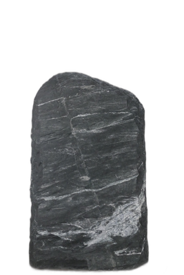 004DG001SR-3006173