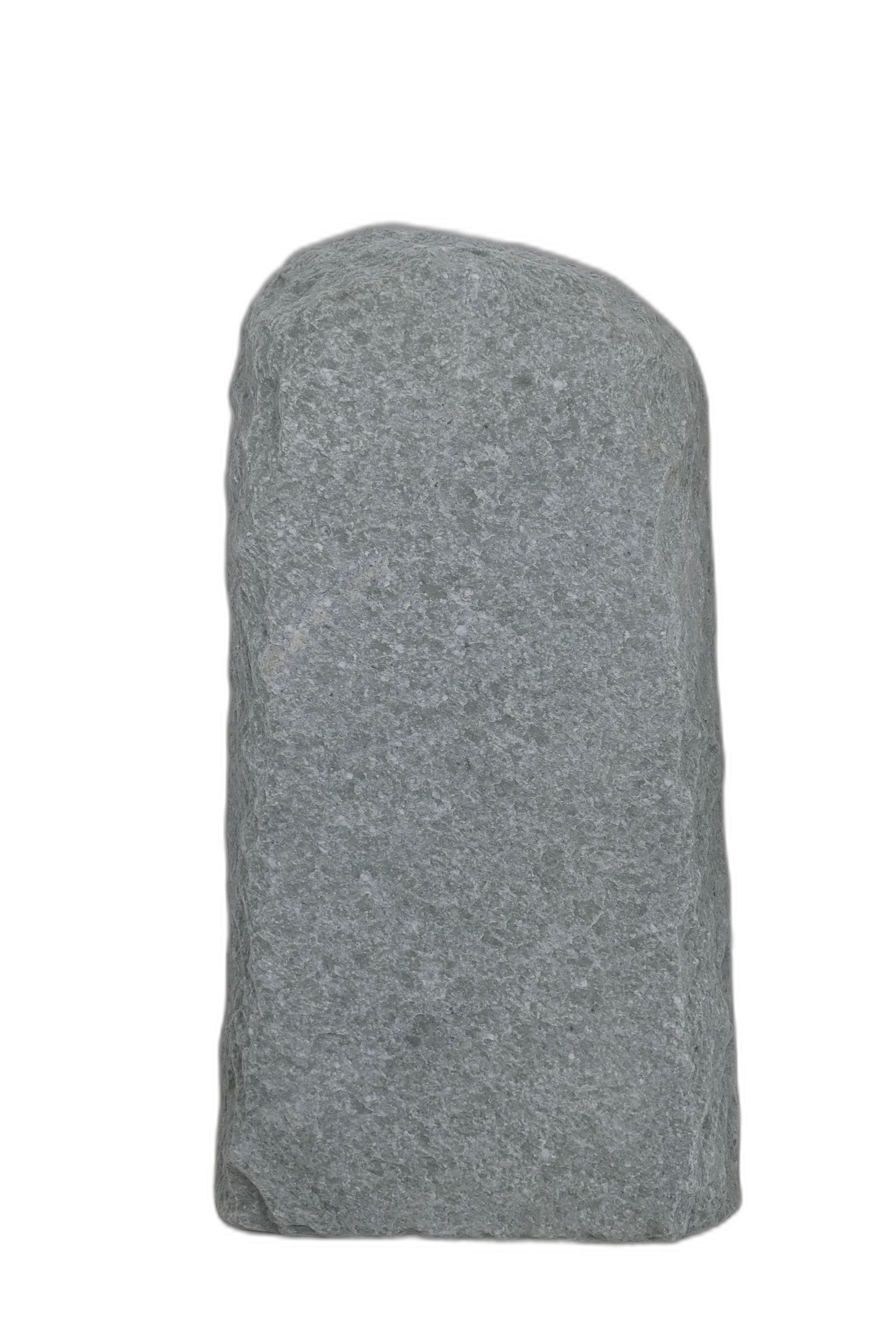 004AN001GT-3005681