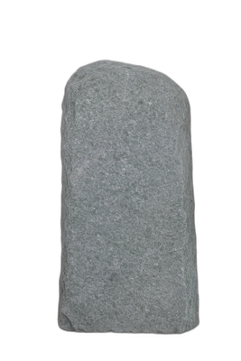 004AN001GT-3005681