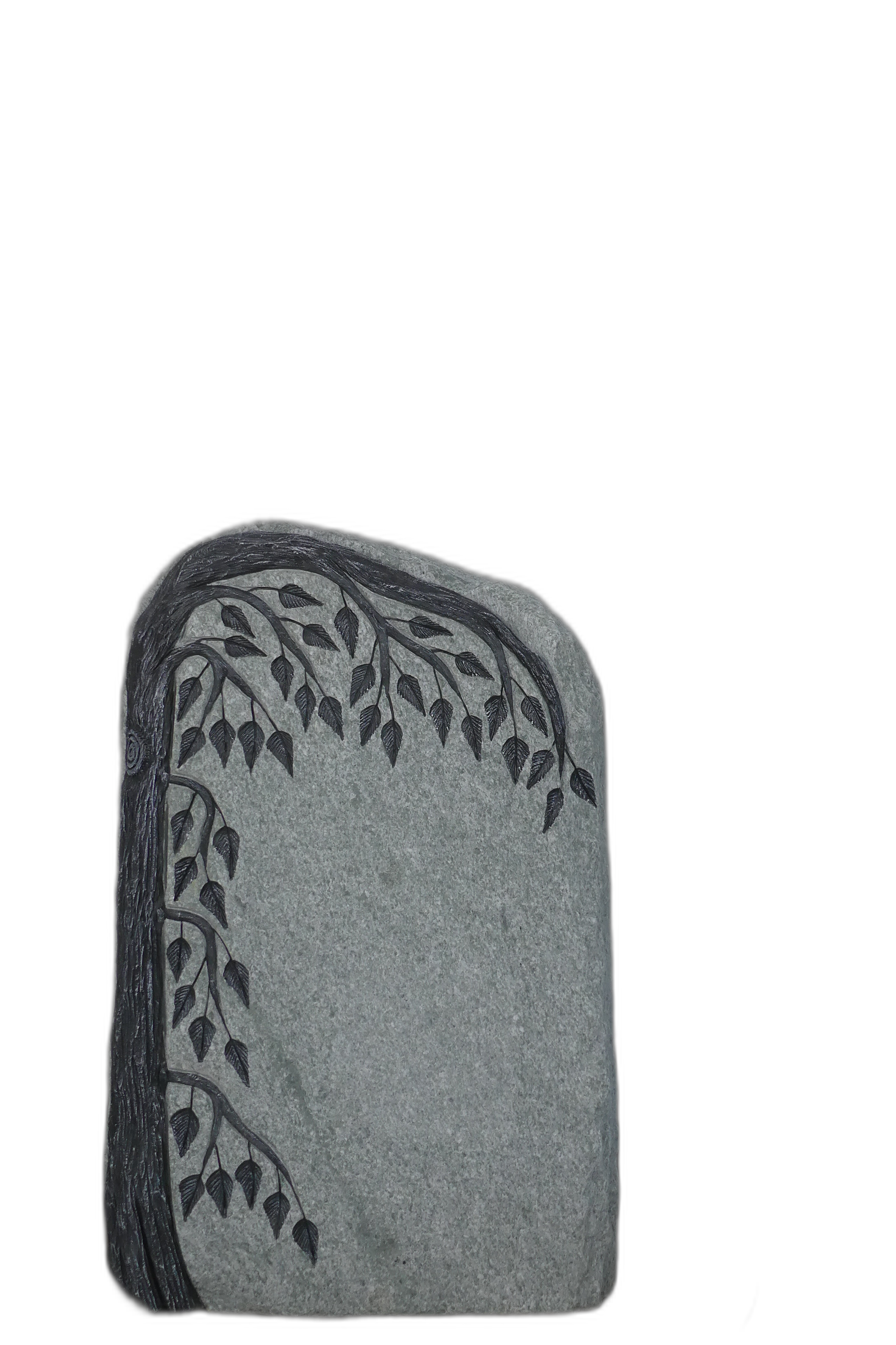 004AN002FGT-3006222