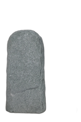 003AN001GT-3005737