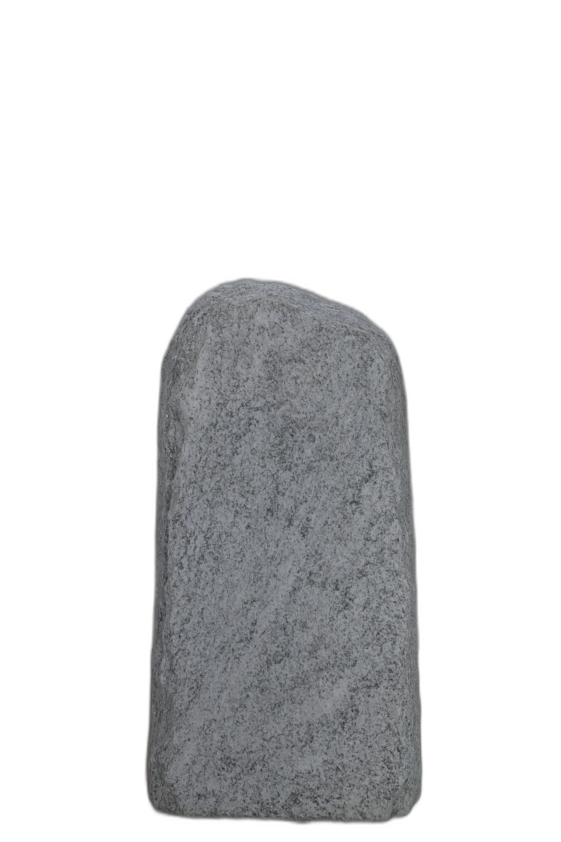 004CS001GT-3006169