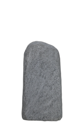 004CS001GT-3006169